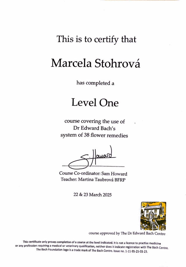 Certifikát 15